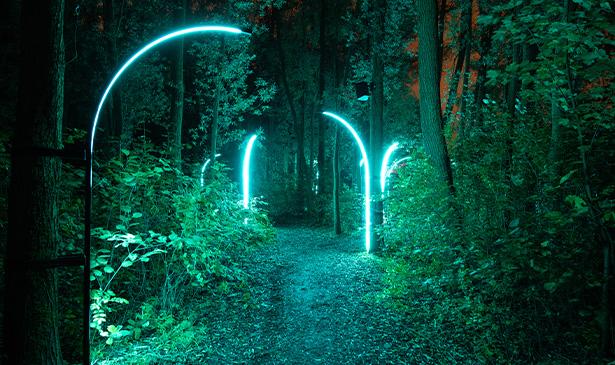 alluminous_2025_-_hyper___nature_2_jaap_van_den_elzen_anthony_fiumara_-_fotografie_robin_meyer_web_615.jpg
