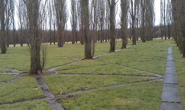 127962_unieke-buitenmis-bij-de-groene-kathedraal-615x.jpg