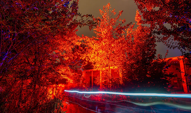20221016-floriade-lichtkunstroute-mi-108-615.jpg